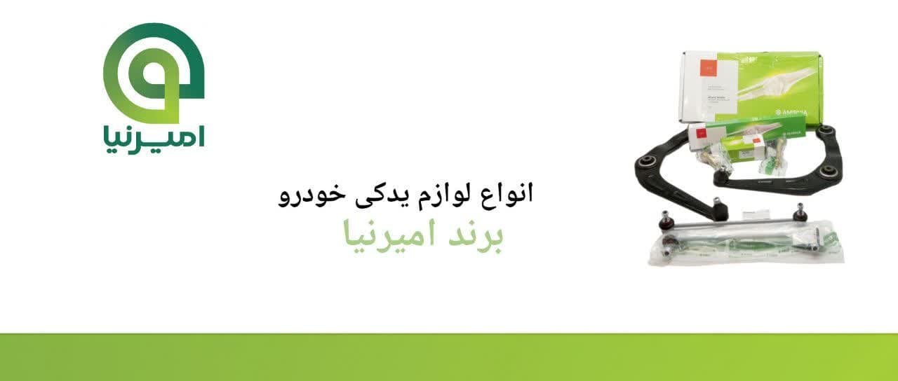 امیرنیا