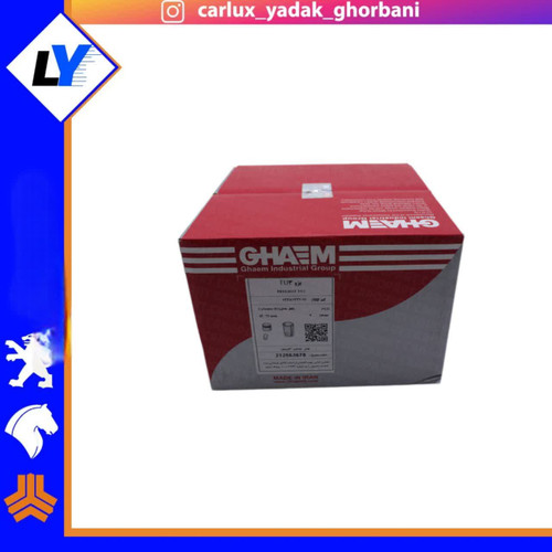 بوش و پیستون پژو 206 تیپ 2 (TU3) STD قائم