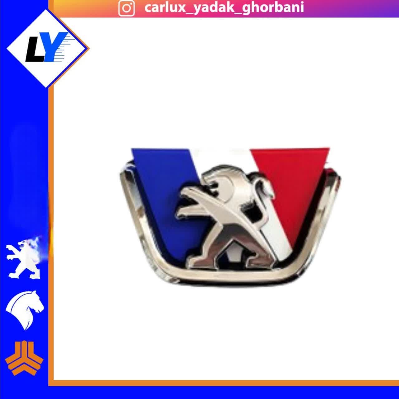 ارم جلو پنجره 206 اسپرت (مدل مورد نظر انتخاب شود)