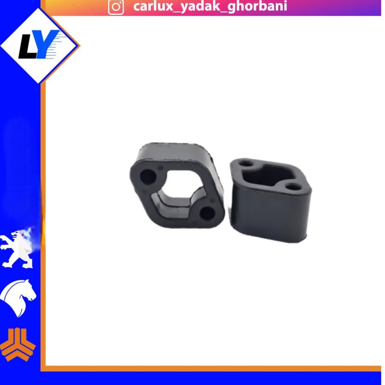 بست اگزوز (منجید)405 رهیاب